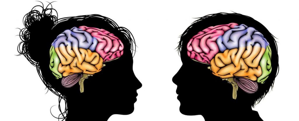 Teenage brain Graphic
