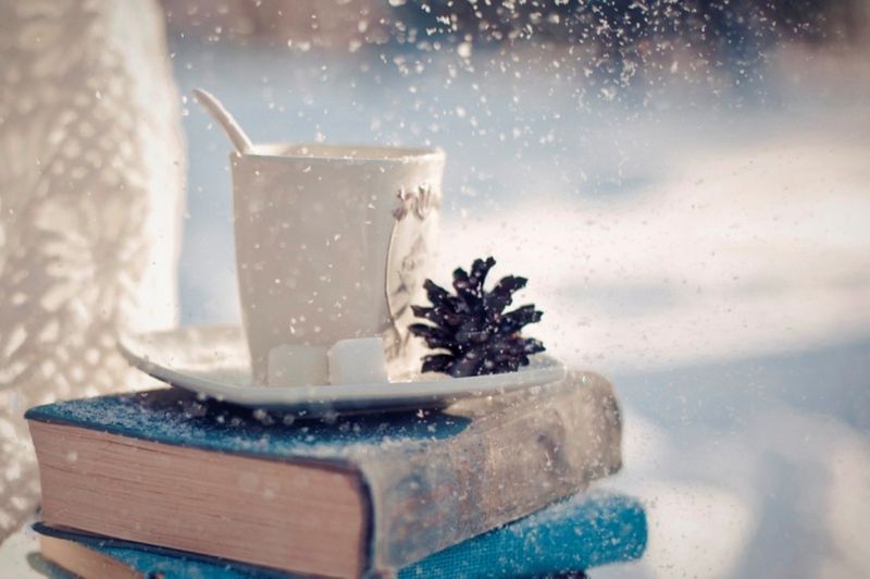 Book with cup by wintery window